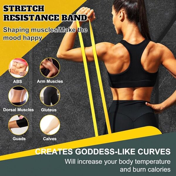 exercise bands resistance bands for working out,pull up bands set,at home workout equipment,workout bands for men and women,stretch bands